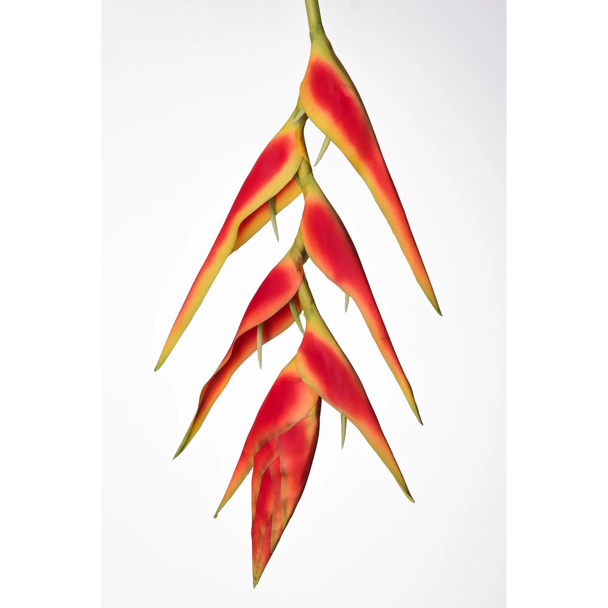 Heliconia artificial Colgante de 170 cm, color rojo