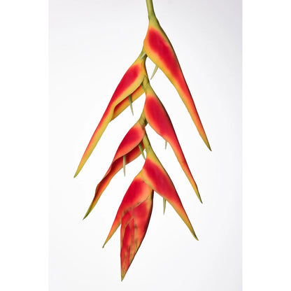 Heliconia artificial Colgante de 170 cm, color rojo