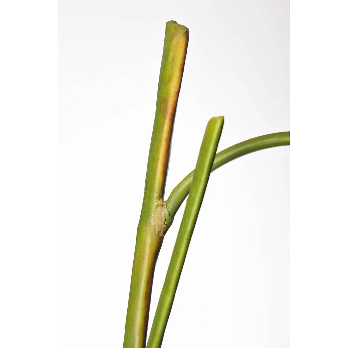 Heliconia artificial Colgante de 170 cm, color rojo