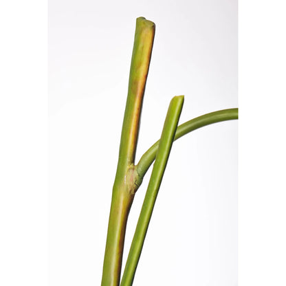Heliconia artificial Colgante de 170 cm, color rojo