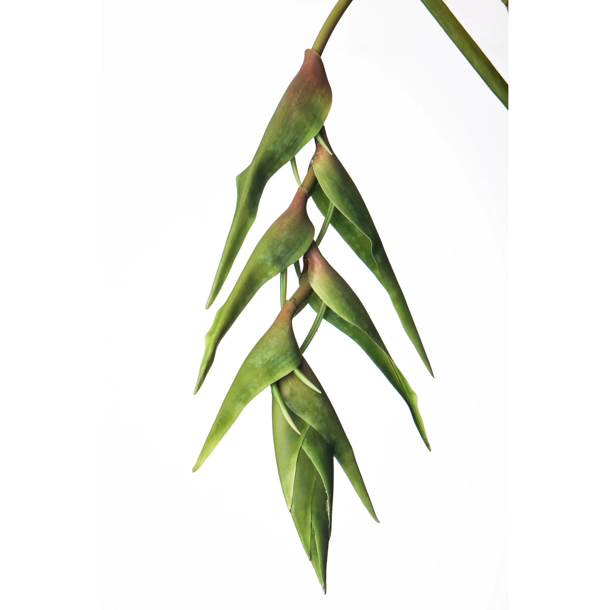 Heliconia artificial Colgante de 170 cm, color verde