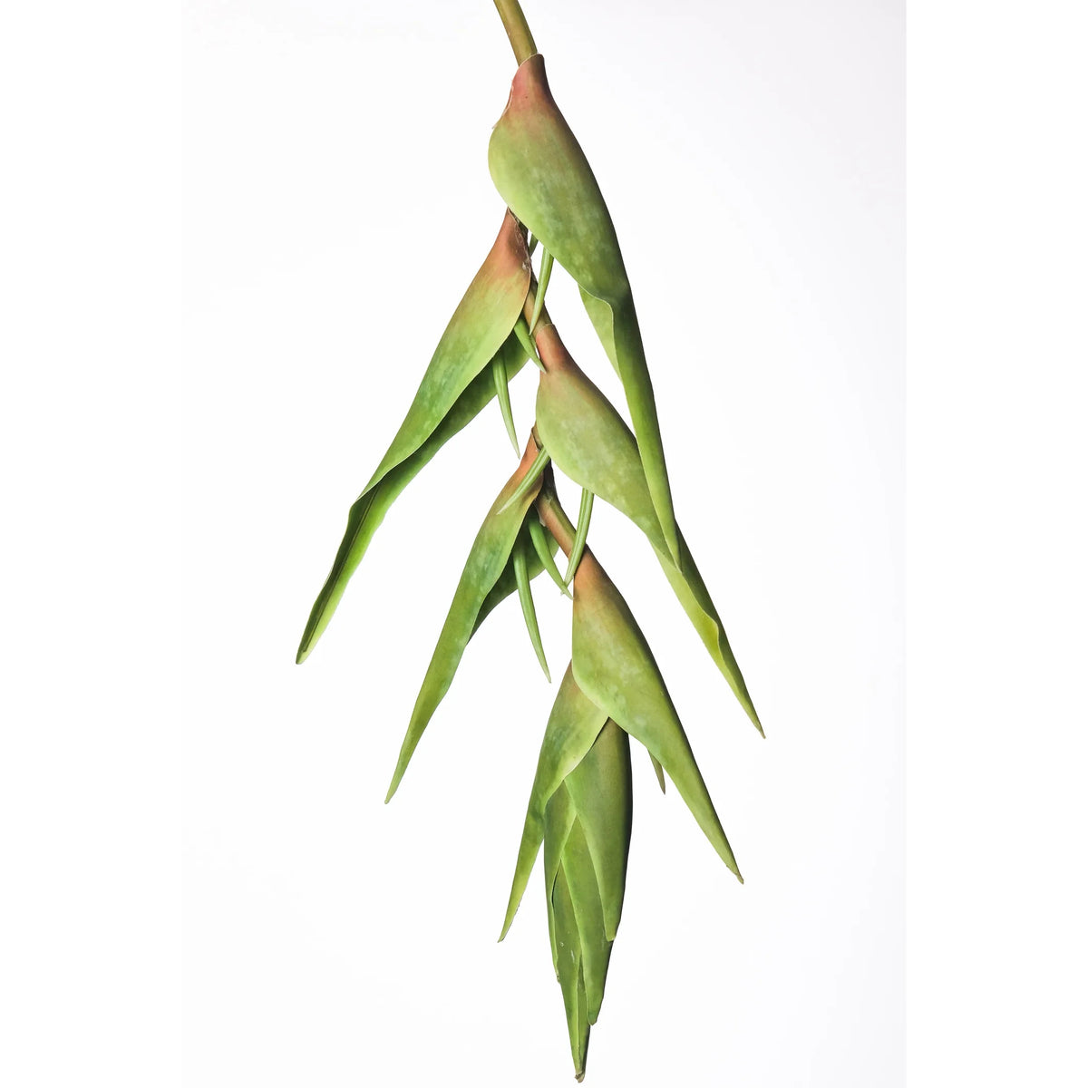 Heliconia artificial Colgante de 170 cm, color verde