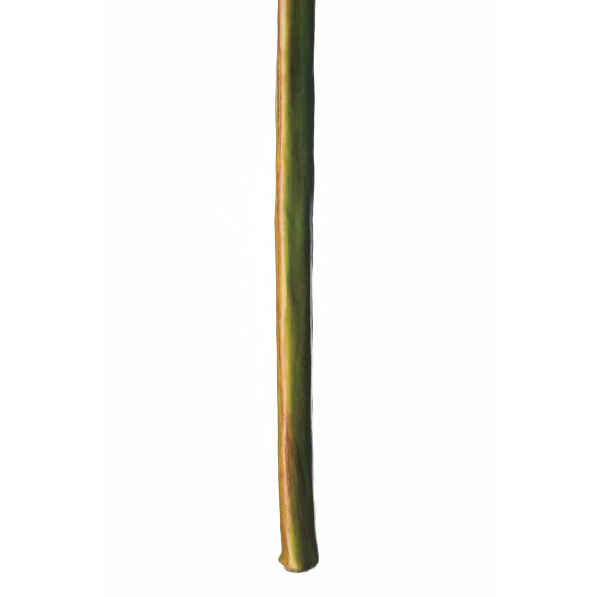 Heliconia artificial Colgante de 170 cm, color verde