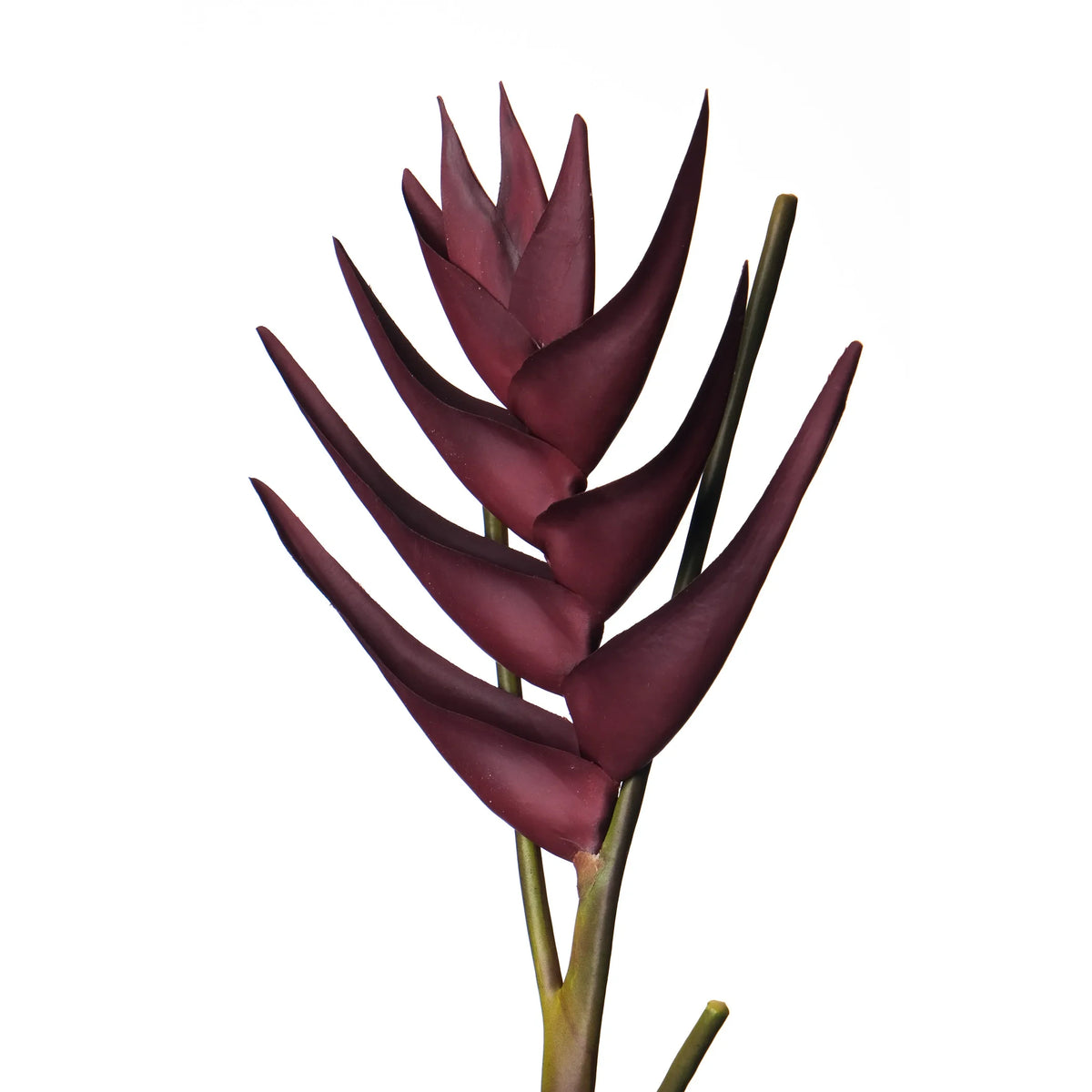 Heliconia artificial en Vara de 95 cm, color burdeos