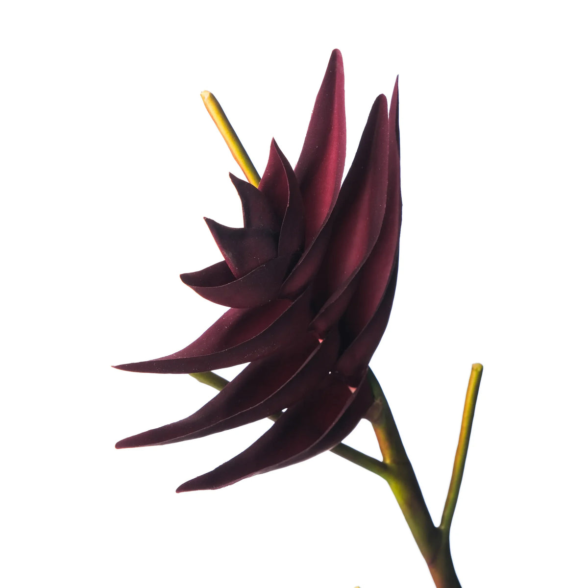 Heliconia artificial en Vara de 95 cm, color burdeos