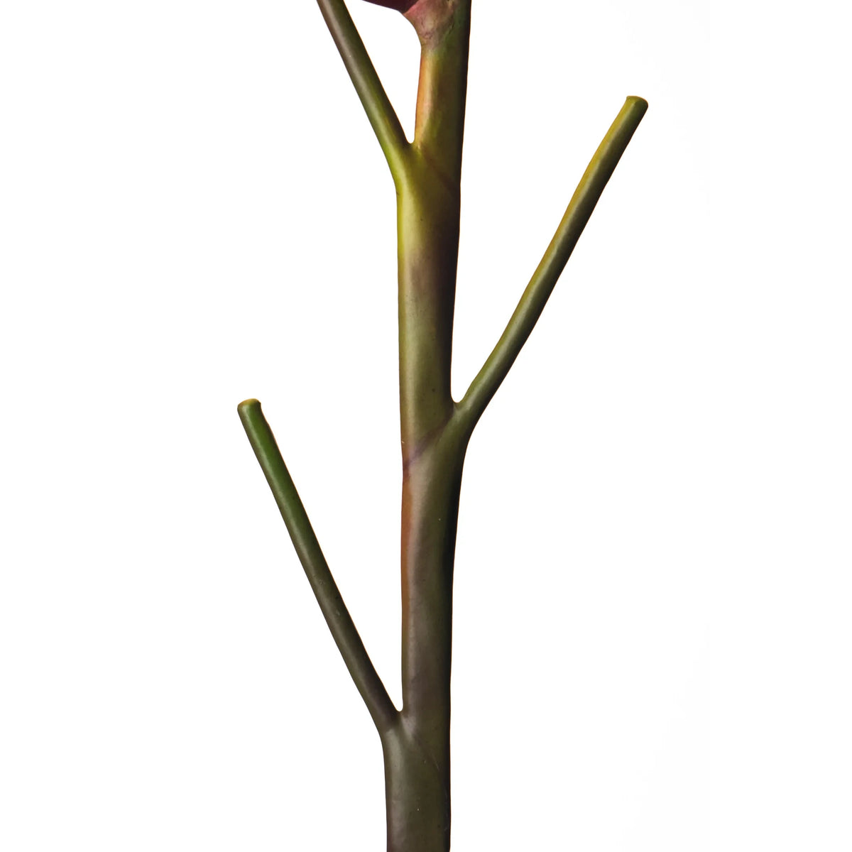 Heliconia artificial en Vara de 95 cm, color burdeos