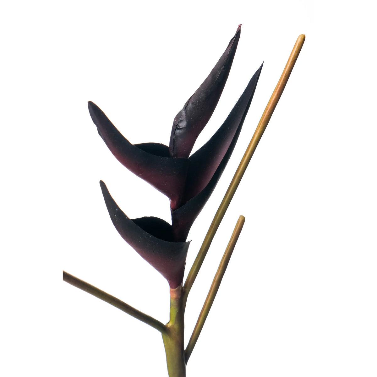 Heliconia artificial Mini en Vara de 66 cm, color burdeos