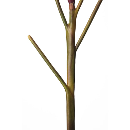 Heliconia artificial Mini en Vara de 66 cm, color burdeos