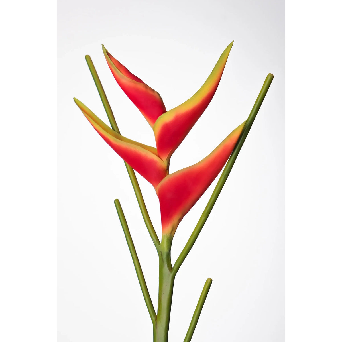Heliconia artificial Mini en Vara de 66 cm, color rojo