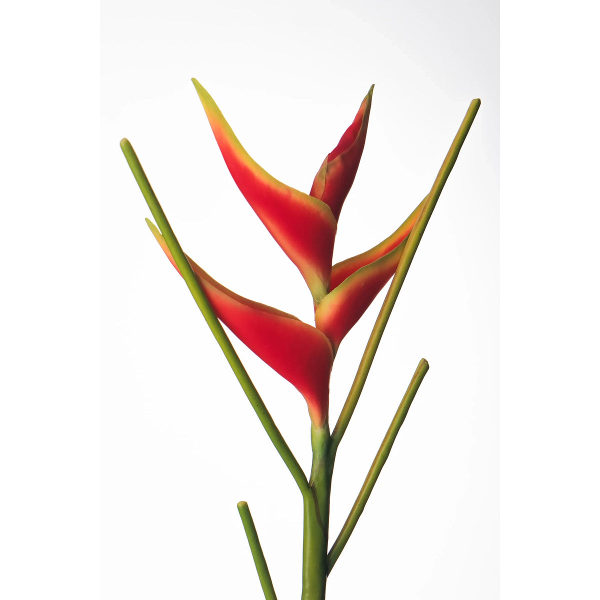 Heliconia artificial Mini en Vara de 66 cm, color rojo
