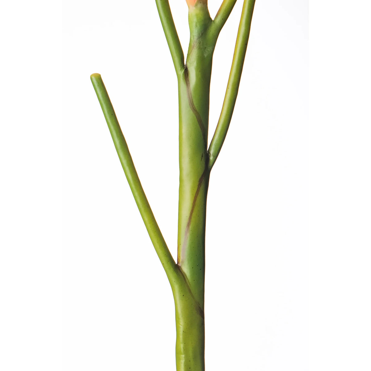 Heliconia artificial Mini en Vara de 66 cm, color rojo