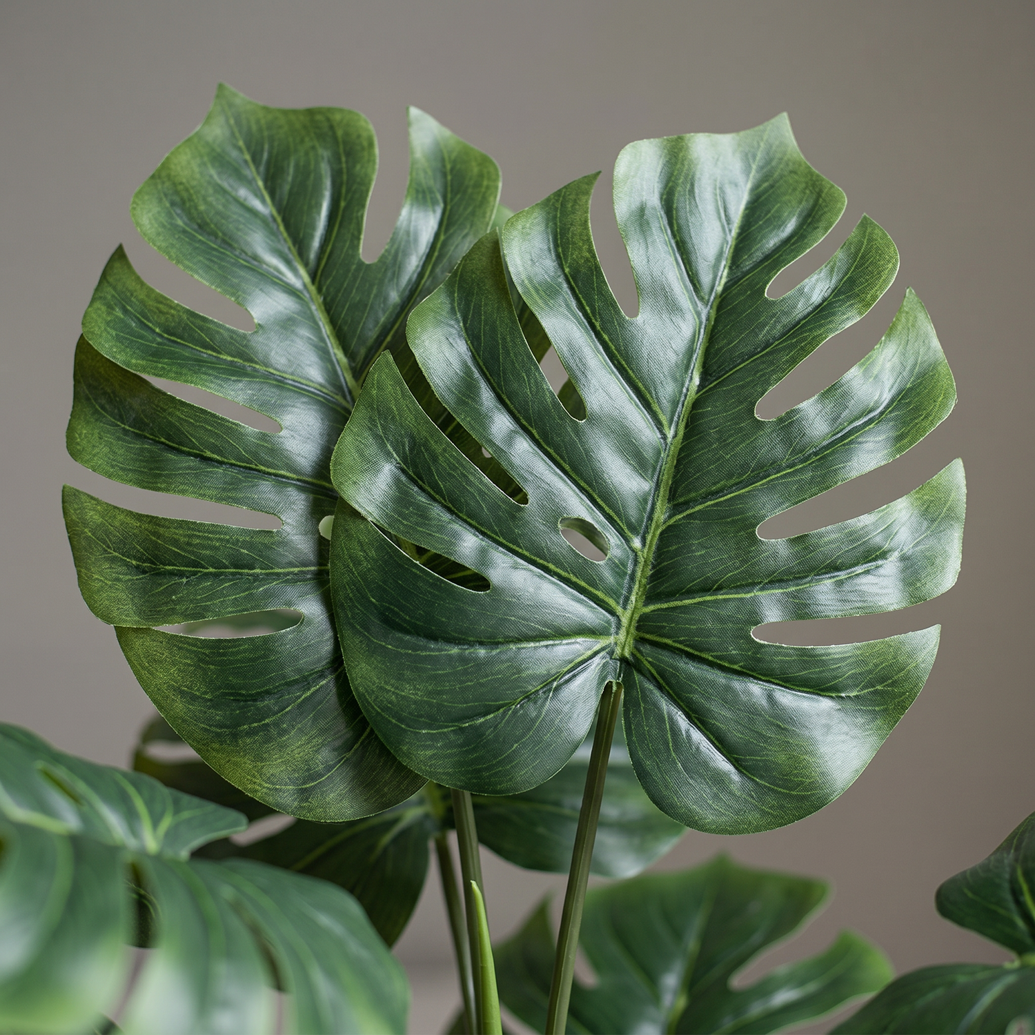 Detalle del realismo de las hojas de la Monstera artificial de Dekogreen
