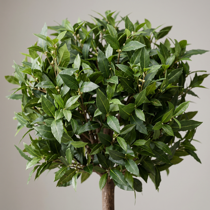 Detalle del follaje realista del laurel esfera artificial de Dekogreen