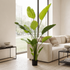 Strelitzia Nicolai artificial Dekogreen en un salon luminoso