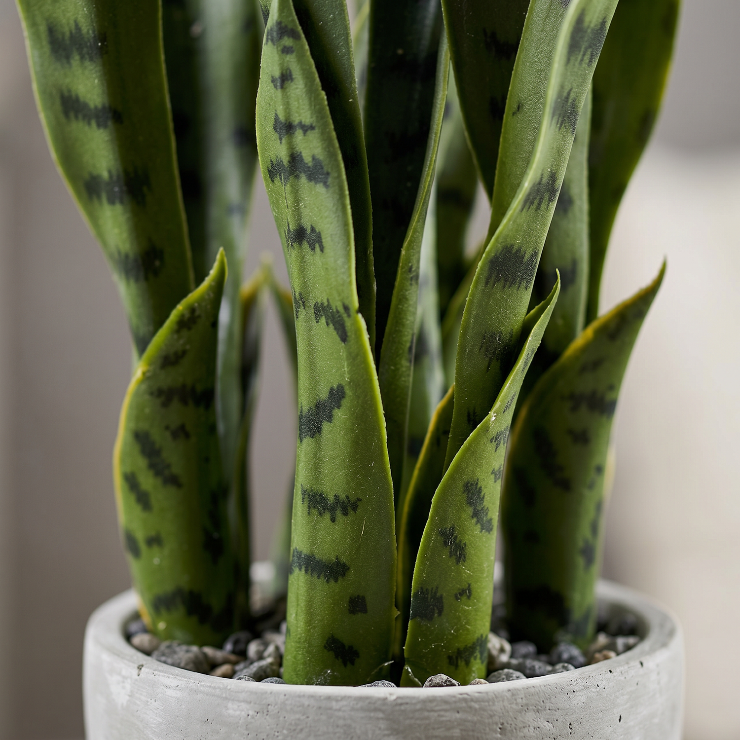 Detalle de las hojas de la sansevieria artificial de Dekogreen