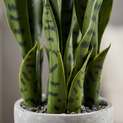 Detalle de las hojas de la sansevieria artificial de Dekogreen