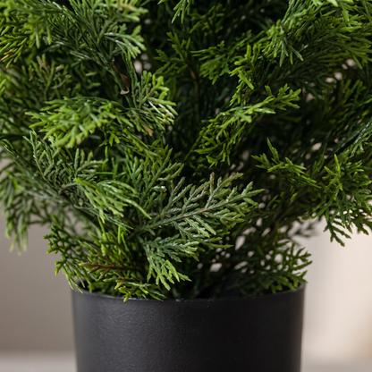 Detalle del realismo de las hojas de la Arizónica Evo UV 90 cm artificial de Dekogreen