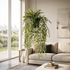 Bambú colgante en maceta artificial Dekogreen decorando un salón moderno y luminoso