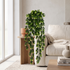 Boj colgante con bayas artificial Dekogreen decorando un salón moderno y luminoso