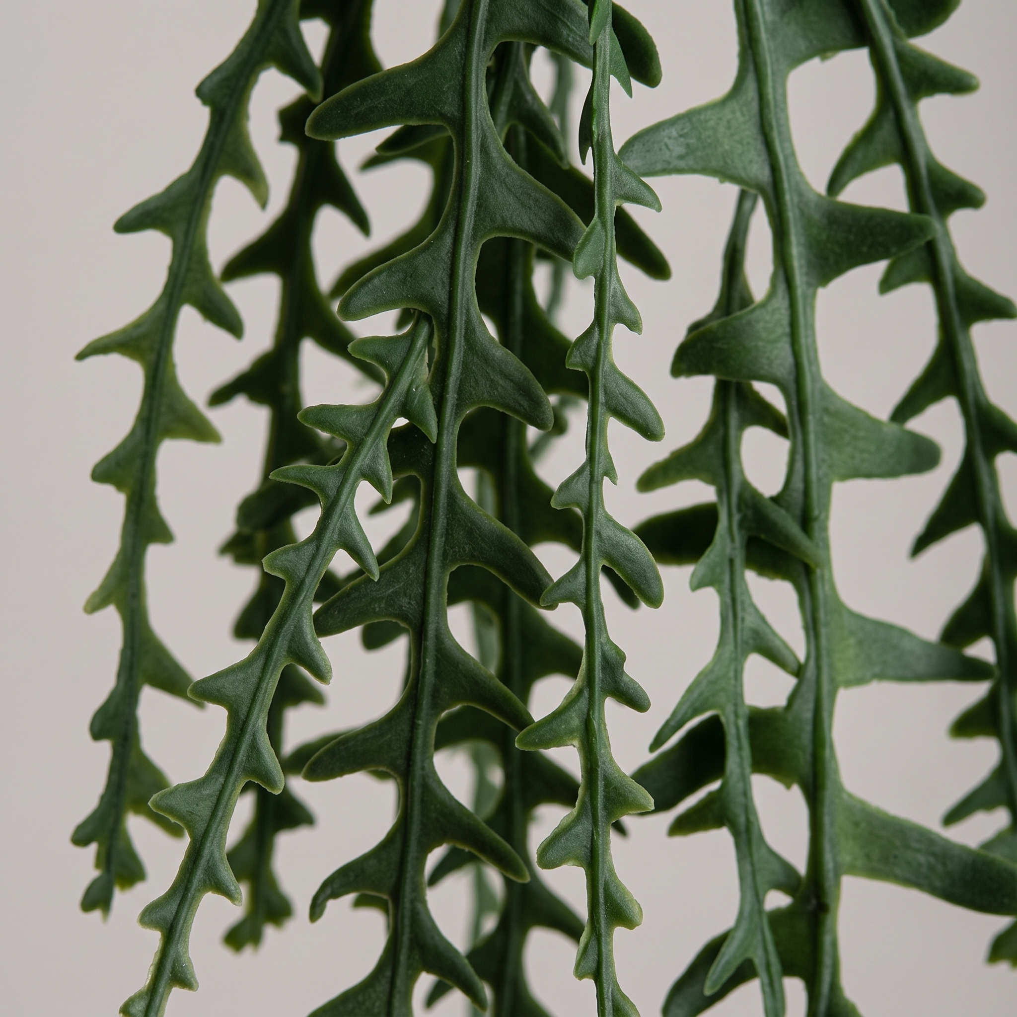 Detalle del realismo del Cactus colgante artificial de Dekogreen