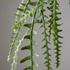 Detalle del realismo del Cactus colgante ignífugo de 125 cm artificial de Dekogreen