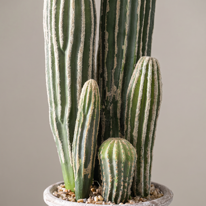 Detalle del realismo del Cactus San Pedro artificial de Dekogreen