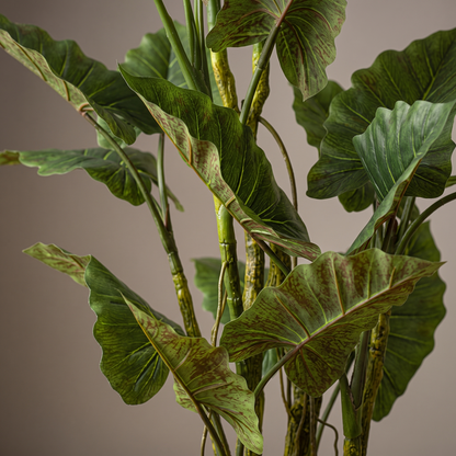 Detalle del realismo de las hojas de la Colocasia de 195 cm artificial de Dekogreen