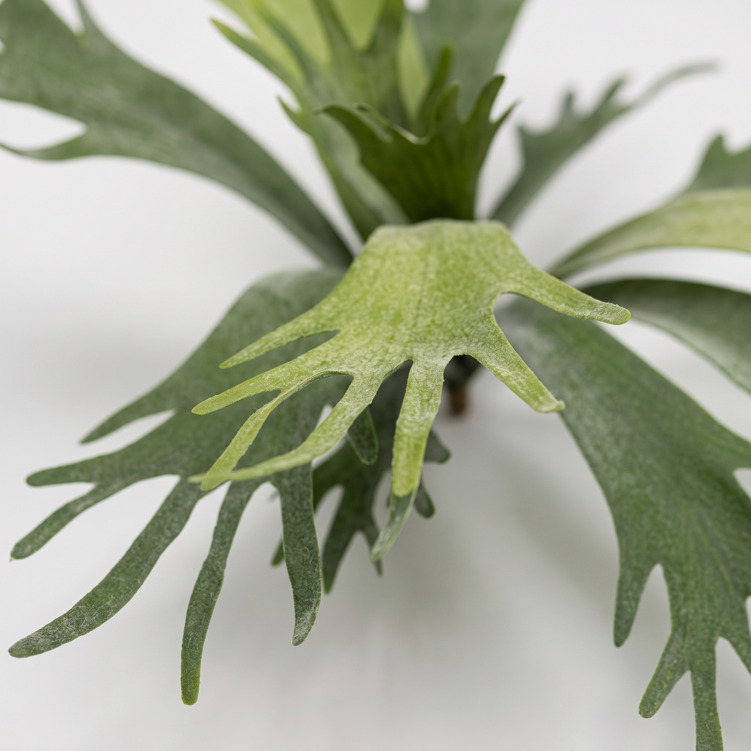 Detalle del realismo del cuerno de ciervo ignífugo de 50 cm artificial de Dekogreen