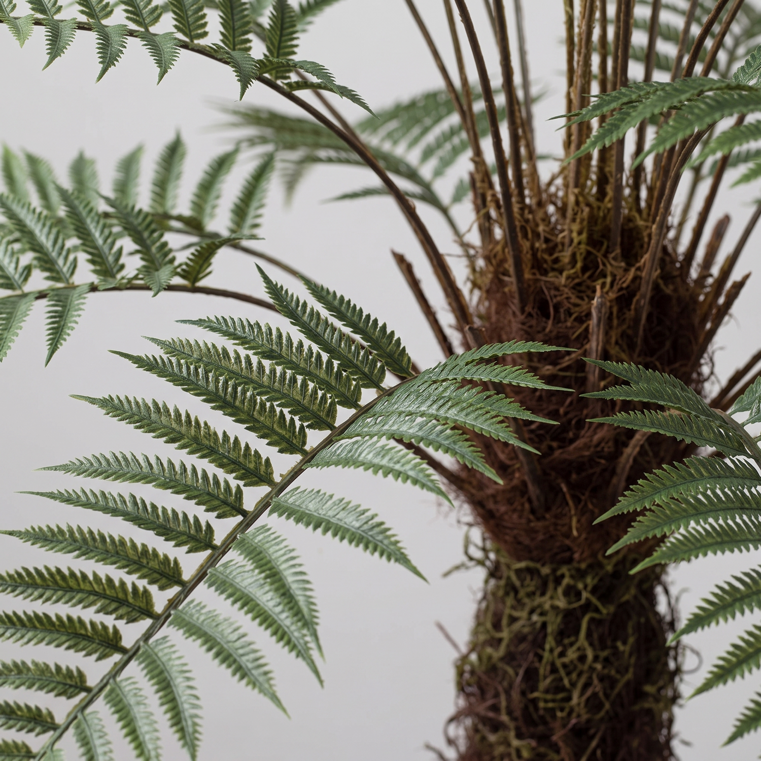 Detalle del realismo de las hojas de la Dicksonia Exotic artificial de Dekogreen