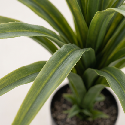 Detalle del realismo de las hojas de la Drácena UV artificial de Dekogreen