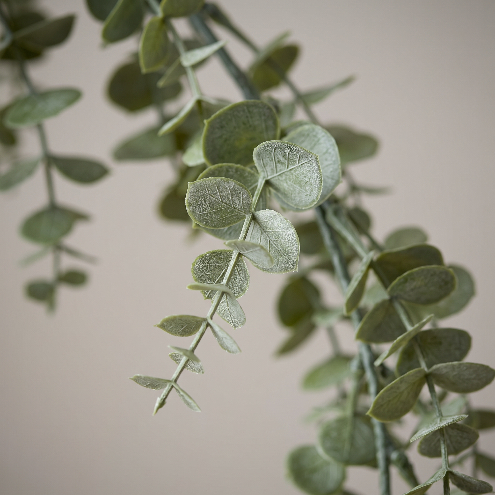 Detalle del realismo de las hojas del Eucalyptus colgante artificial de Dekogreen