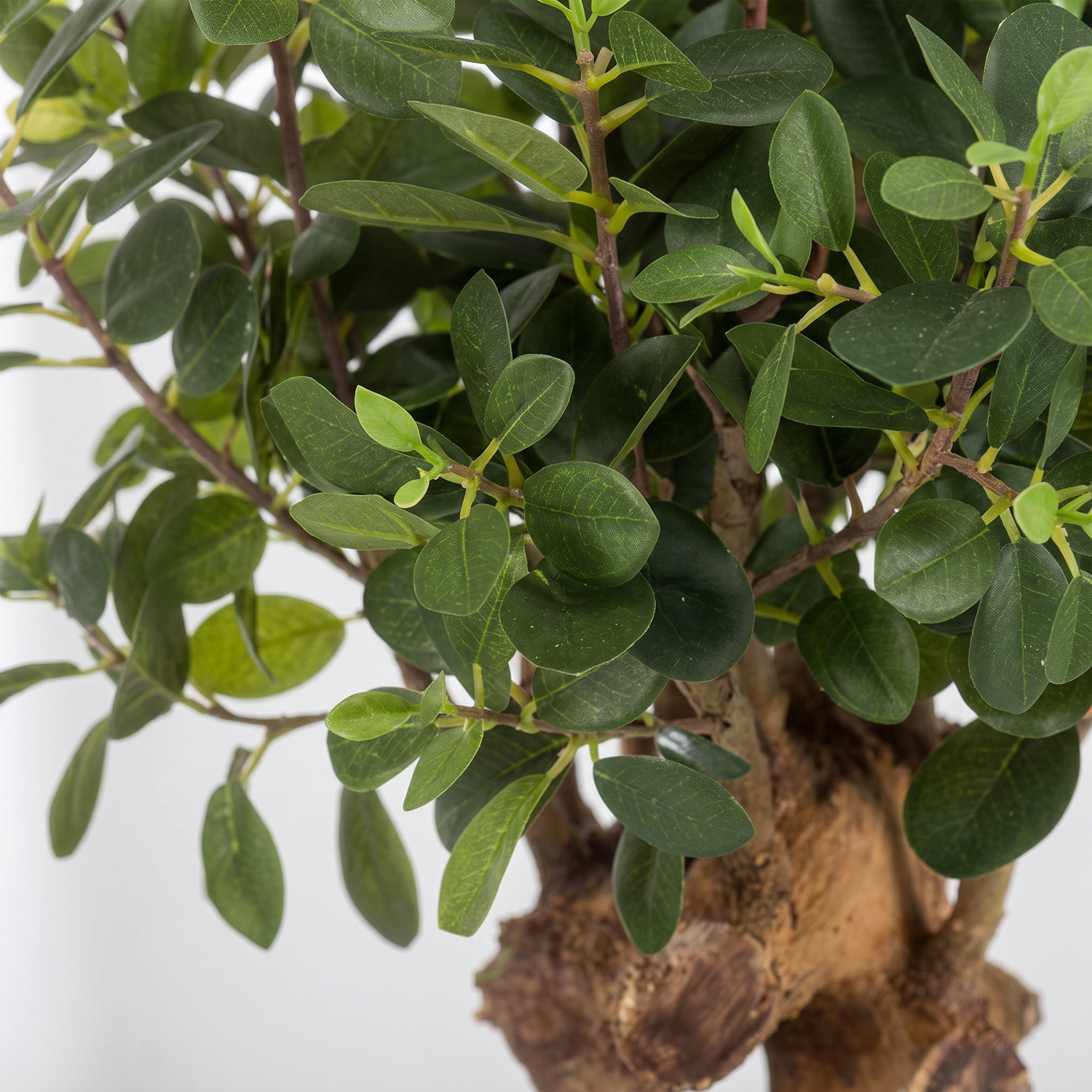 Detalle del realismo de las hojas del Ficus Botanic de 75 cm artificial de Dekogreen