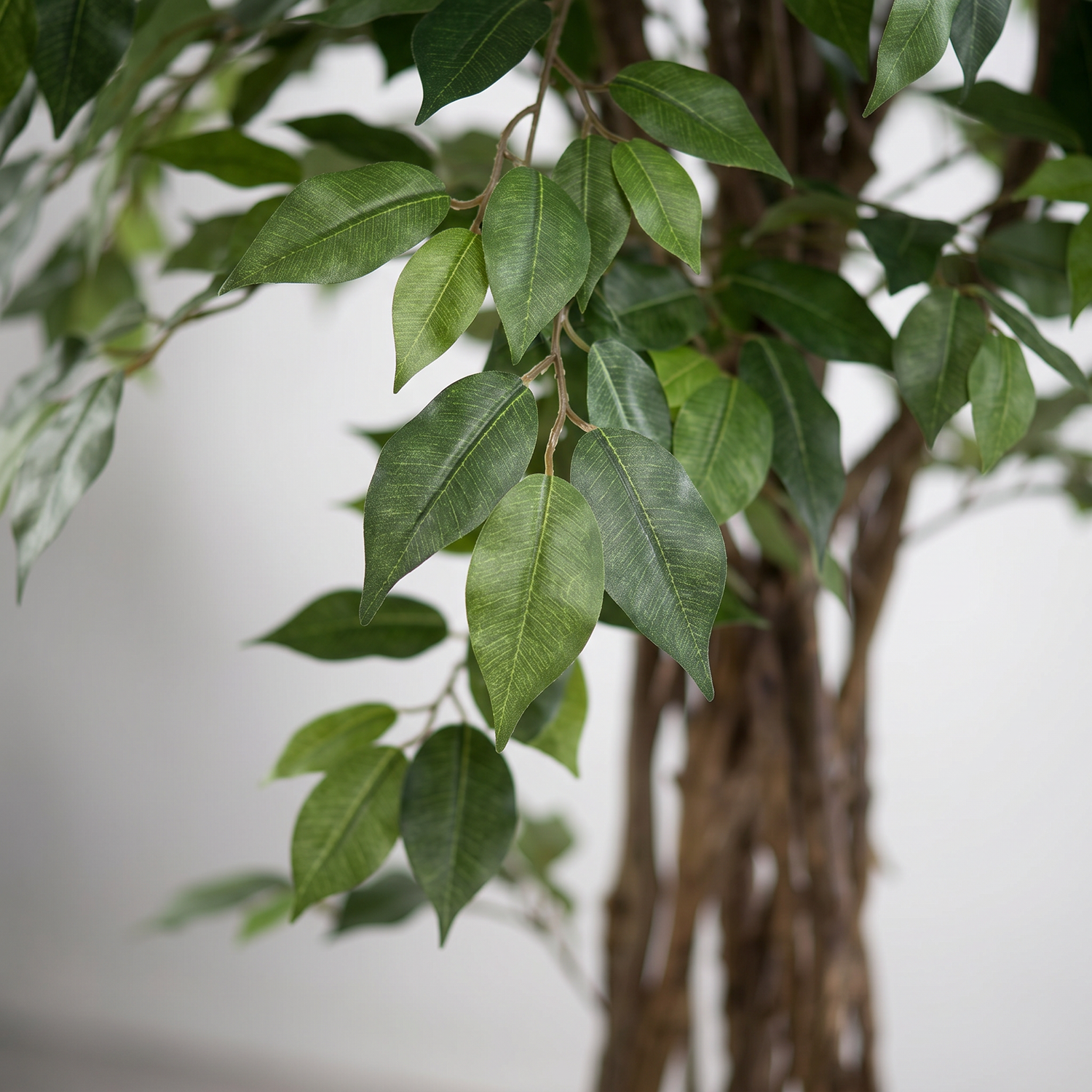 Detalle del realismo de las hojas del Ficus Eco de 145 cm artificial de Dekogreen