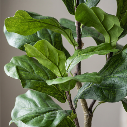 Detalle del realismo de las hojas del Ficus Lyrata artificial de Dekogreen