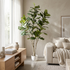 Ficus Lyrata de 210 cm artificial Dekogreen decorando un salón moderno y luminoso