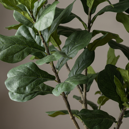 Detalle del realismo de las hojas del Ficus Lyrata de 210 cm artificial de Dekogreen