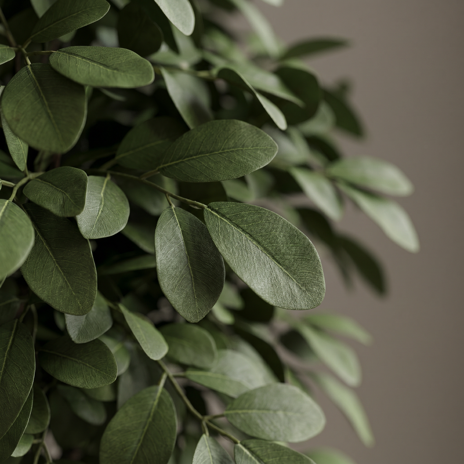 Detalle del realismo de las hojas del Ficus Premium artificial de Dekogreen