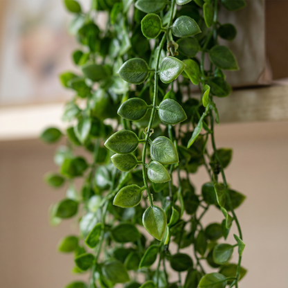 Detalle del realismo de las hojas del Ficus Pumila colgante artificial de Dekogreen