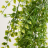 Detalle del realismo de las hojas del Ficus Pumila colgante UV artificial de Dekogreen