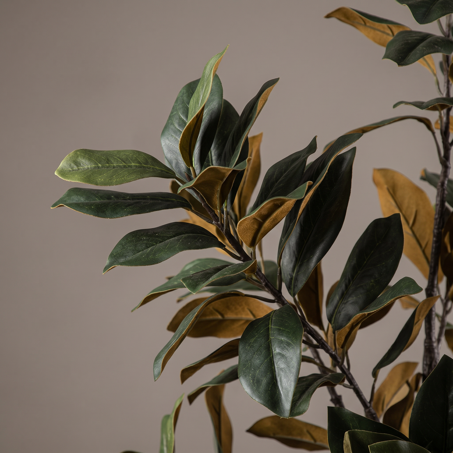 Detalle del realismo de las hojas de la Gran Magnolia artificial de Dekogreen