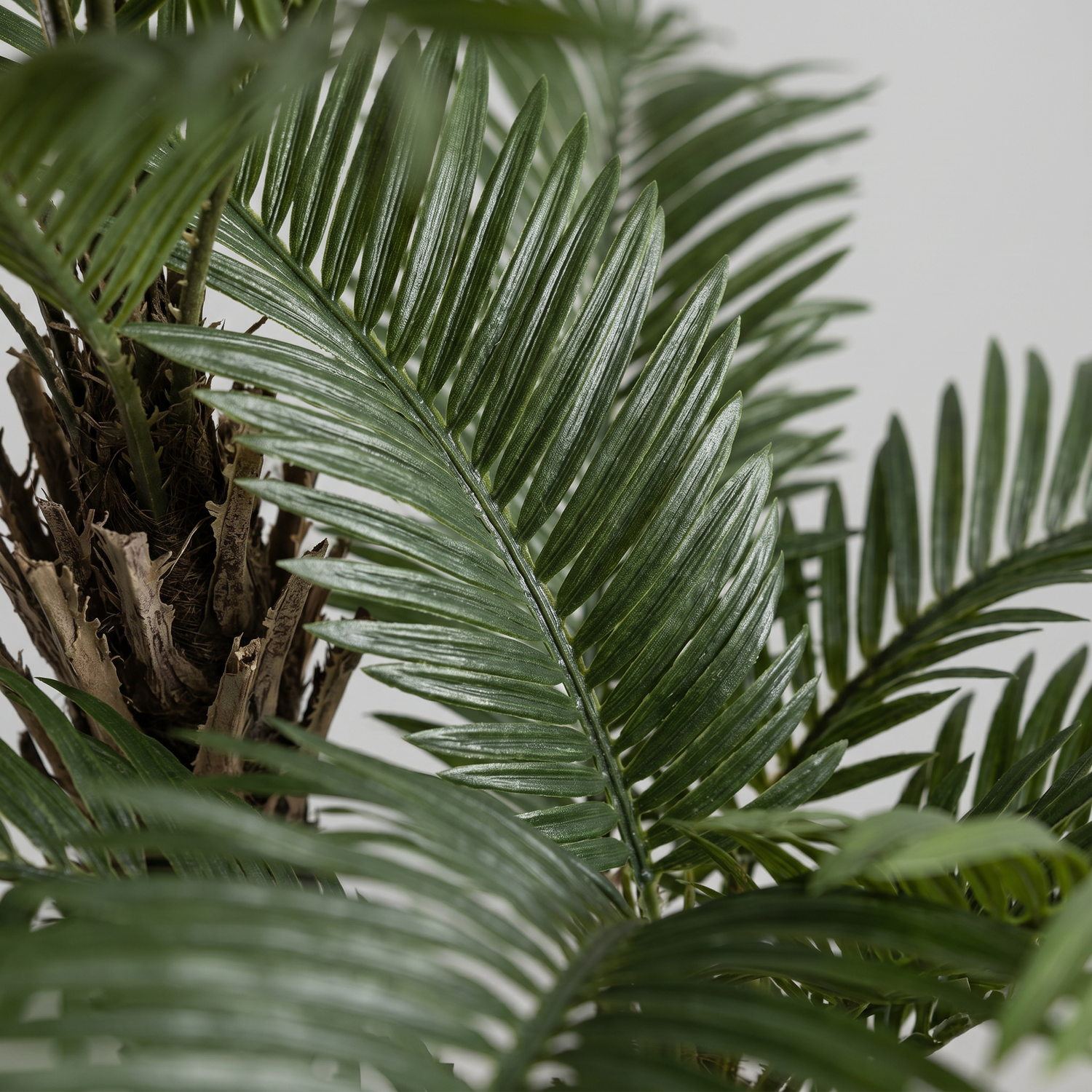 Detalle del realismo de las hojas de la Gran Palmera artificial de Dekogreen