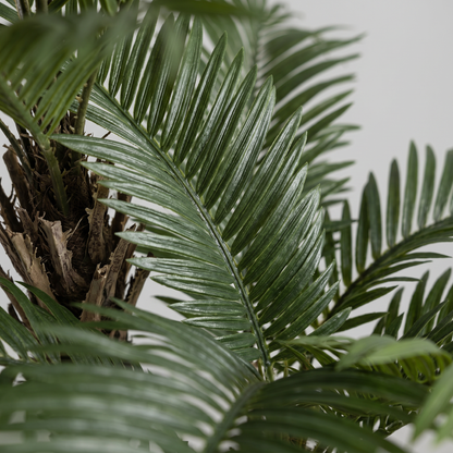 Detalle del realismo de las hojas de la Gran Palmera artificial de Dekogreen