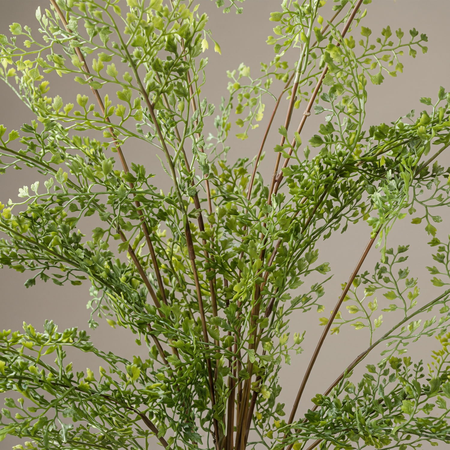 Detalle del realismo de las hojas del Helecho Adiantum en arbusto artificial de Dekogreen