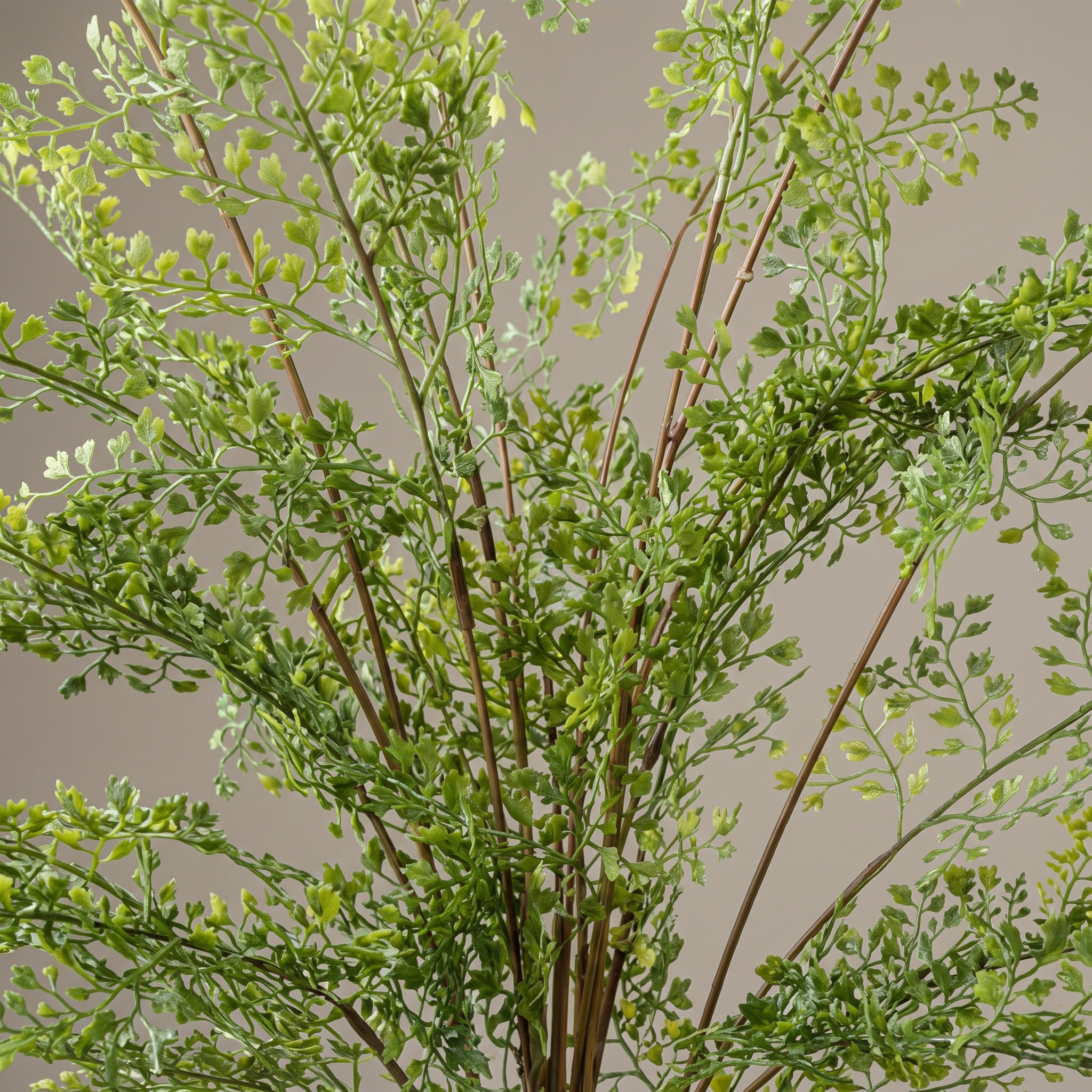 Detalle del realismo de las hojas del Helecho Adiantum en arbusto artificial de Dekogreen