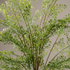 Detalle del realismo de las hojas del Helecho Adiantum en arbusto artificial de Dekogreen