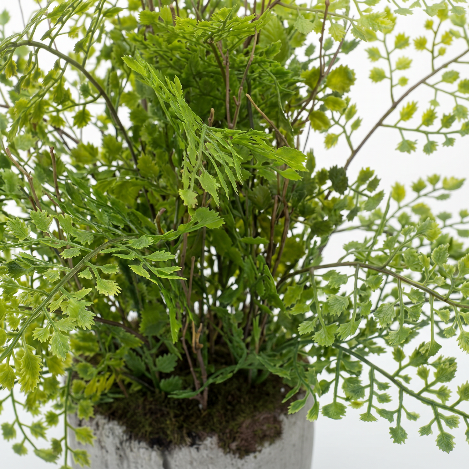 Detalle del realismo de las hojas del Helecho Adiantum artificial de Dekogreen