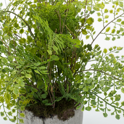 Detalle del realismo de las hojas del Helecho Adiantum artificial de Dekogreen