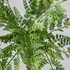 Detalle del realismo de las hojas del helecho Asplenium UV artificial de Dekogreen