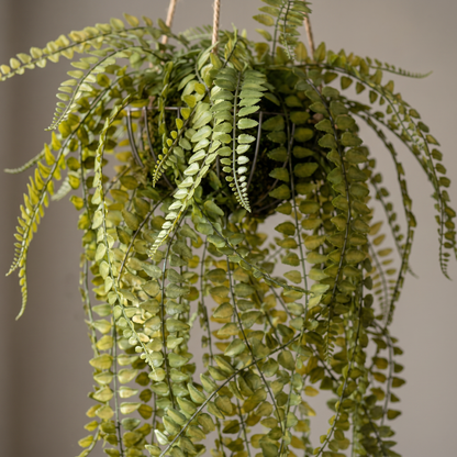 Detalle del realismo de las hojas del helecho de techo Kokedama colgante artificial de Dekogreen