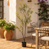 Olivo artificial UV 140 cm en terraza mediterránea